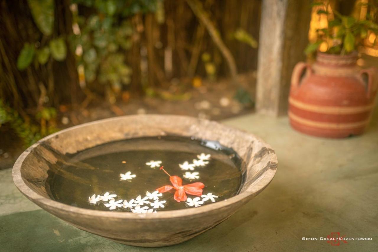 Pousada Spa Oasis Caraíva Exteriér fotografie